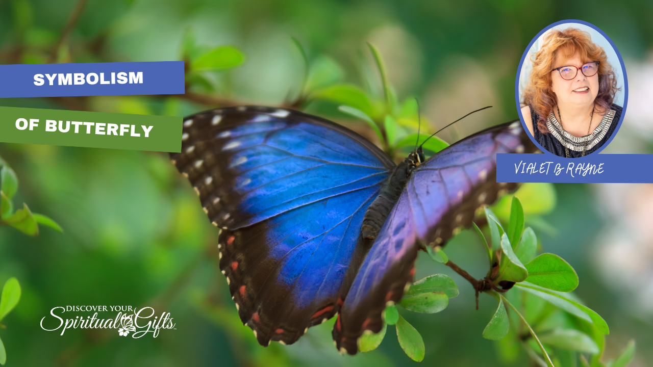 THE SYMBOLISM OF THE BUTTERFLY